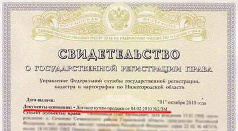 Документ подтверждающий право собственности что писать