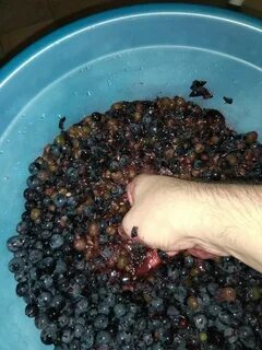 Сделать вино из винограда рецепт