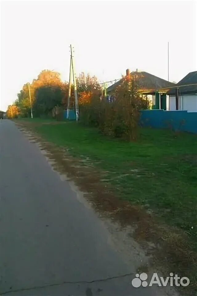 Бугаевка воронежская область кантемировский. Бугаевка воронежская область. Бугаевка воронежская область кантемировский. Погранпереход просяное бугаевка. Бугаевка воронежская область кантемировский.