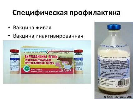 Вакцина против чумы инструкция