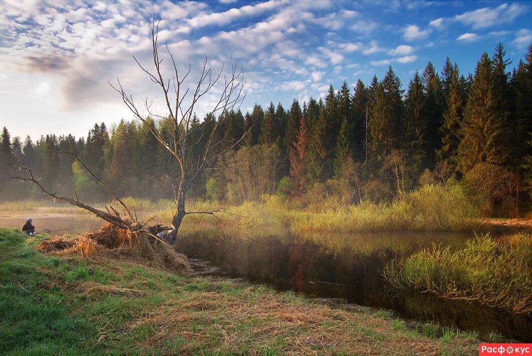 расфокус видео. гелиос 44 снимки природа. ру vladan. расфокус видео. пейзаж на расфокусе.