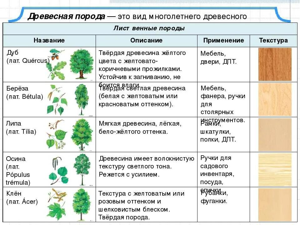 Таблица группы растений по отношению к теплу