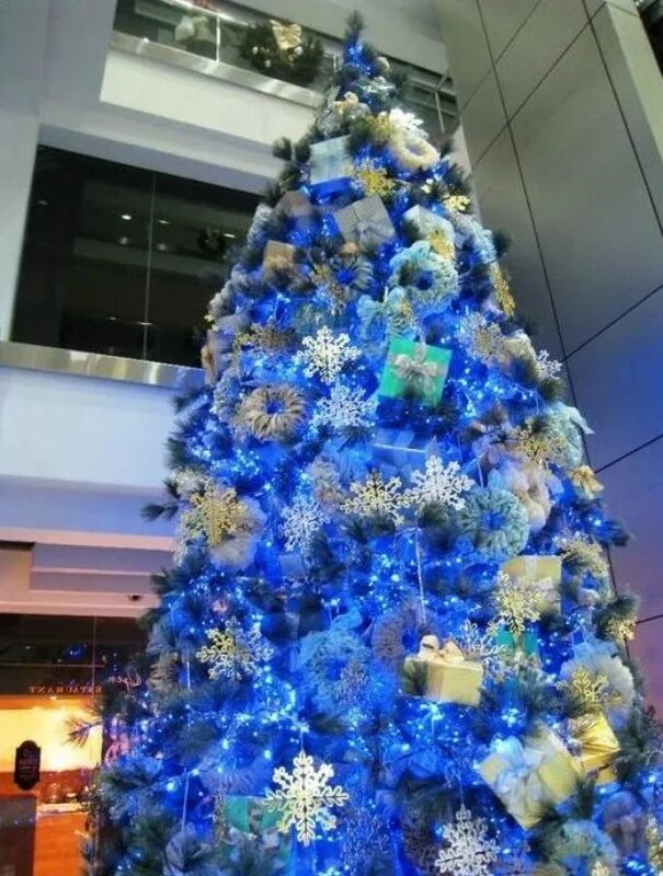 Новогодняя елка в синих тонах. Украшение елки. Можно ли нарядить елку в синий 2024. Бело голубая елка. Елка в сине-золотой гамме.