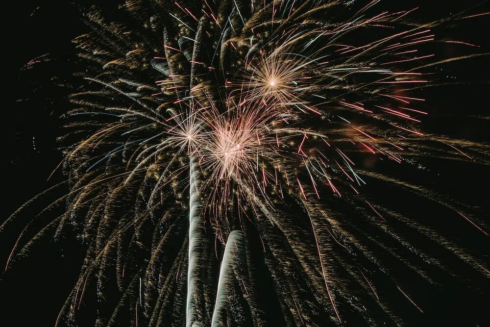 Firework display