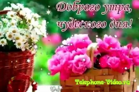 Видео пожелание с добрым утром музыкальные