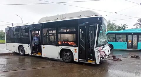 Автобус 105 спб