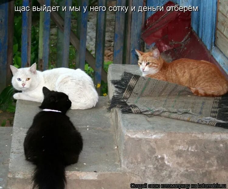 Гп мемы до слез. Выходи за меня!. Картиночка выходи за меня. Когда все пошло не по плану. Сейчас выйду напишу.