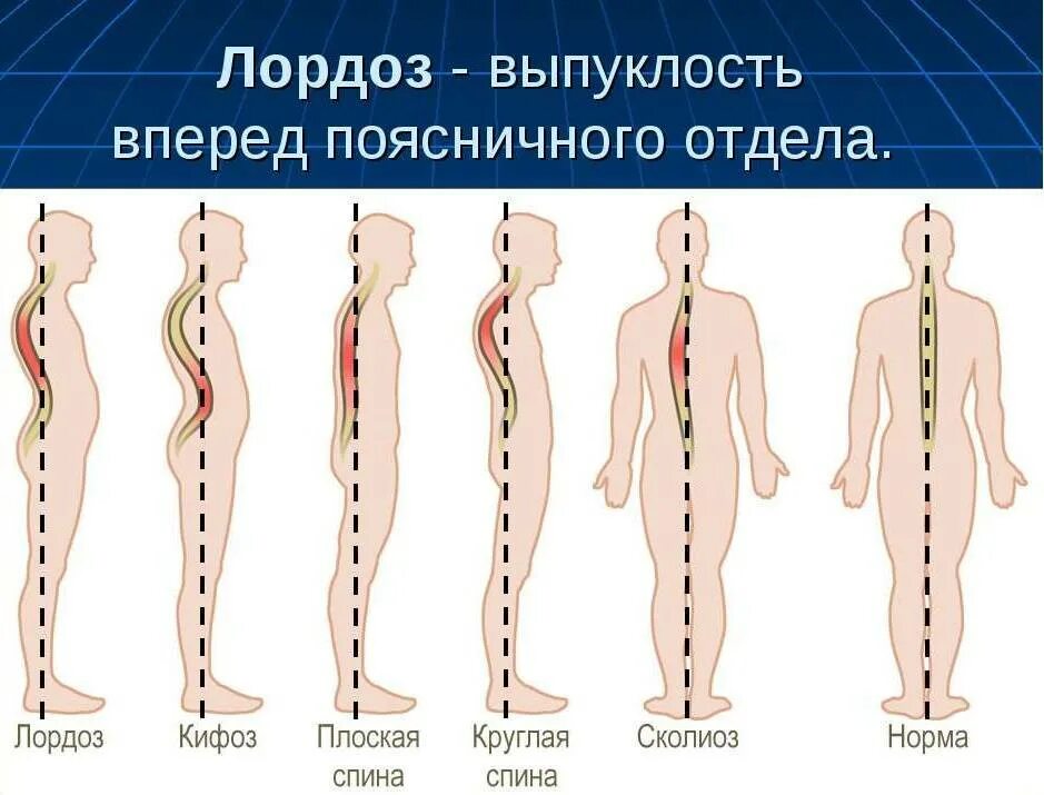 Что значит спины