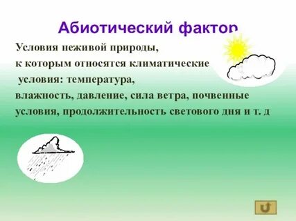Лес неодушевленное