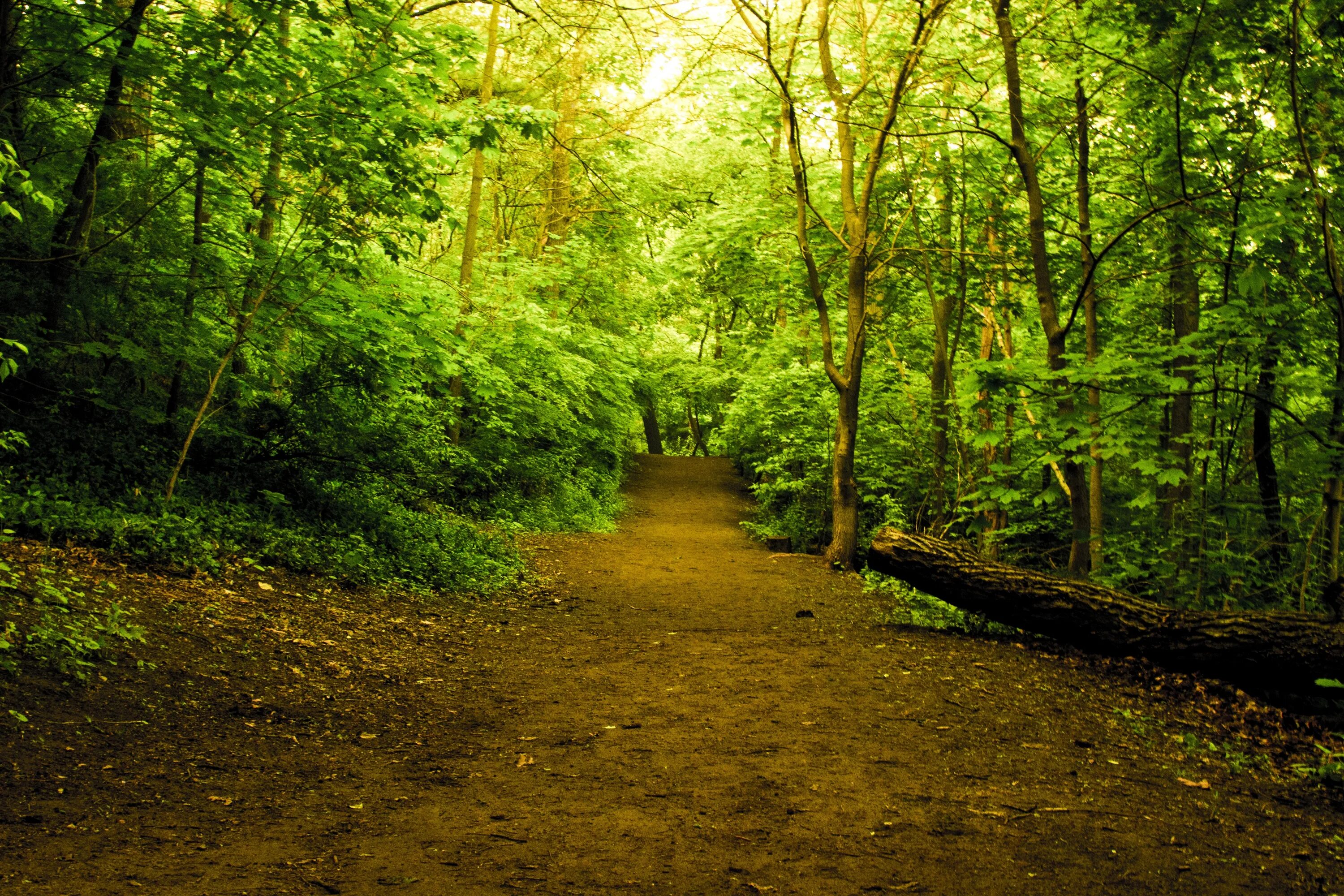 C full path