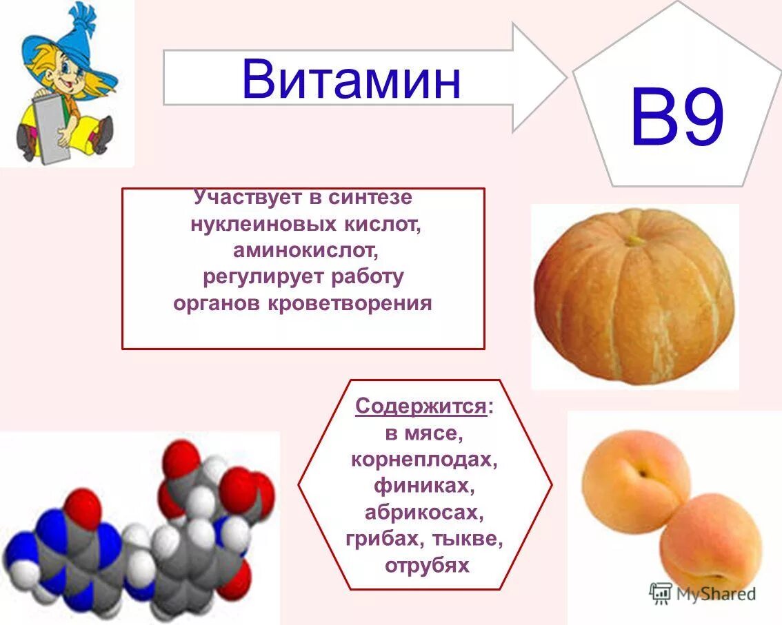 Нуклеиновые кислоты в пище