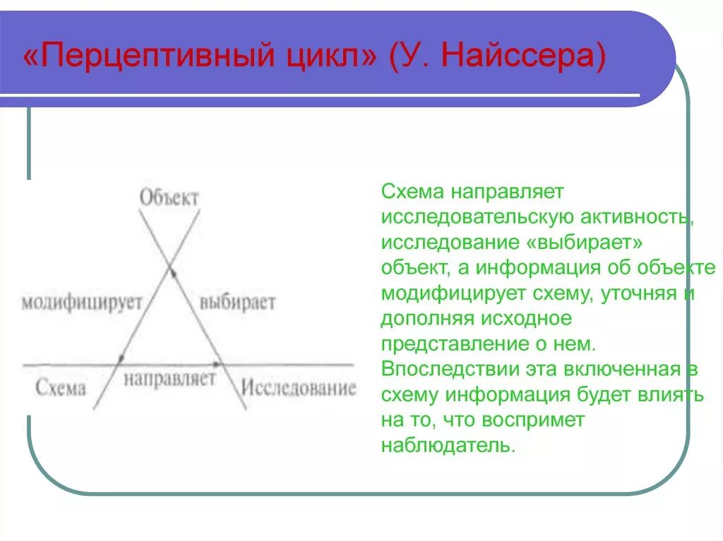 Циклы внимания. Перцептивный цикл найссера схема. Долгосрочные права пользования активами это. Циклы внимания. Длительность активного внимания у детей 6-7 лет.