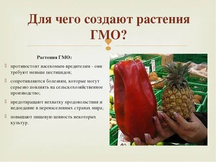 Примеры гмо
