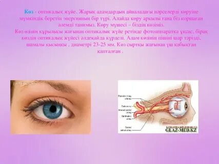 Трансвеститтердің XXX порно видеолары