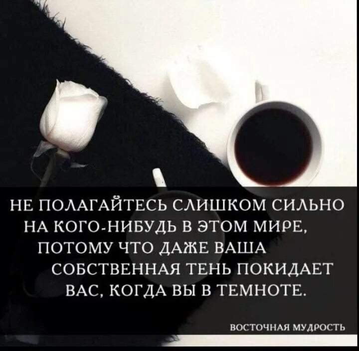 Надеяться на кого нибудь в чем либо. Даже Собственная тень. Даже ваша Собственная тень. В темноте даже Собственная тень покидает вас. Не доверяй никому даже собственной тени.