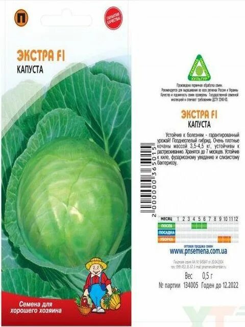 Капуста семена лучшие сорта для открытого грунта. Семена капусты белокочанной лучшие сорта для открытого грунта. семена капусты белокочанной лучшие сорта. капуста семена лучшие сорта для открытого. капуста экстра.