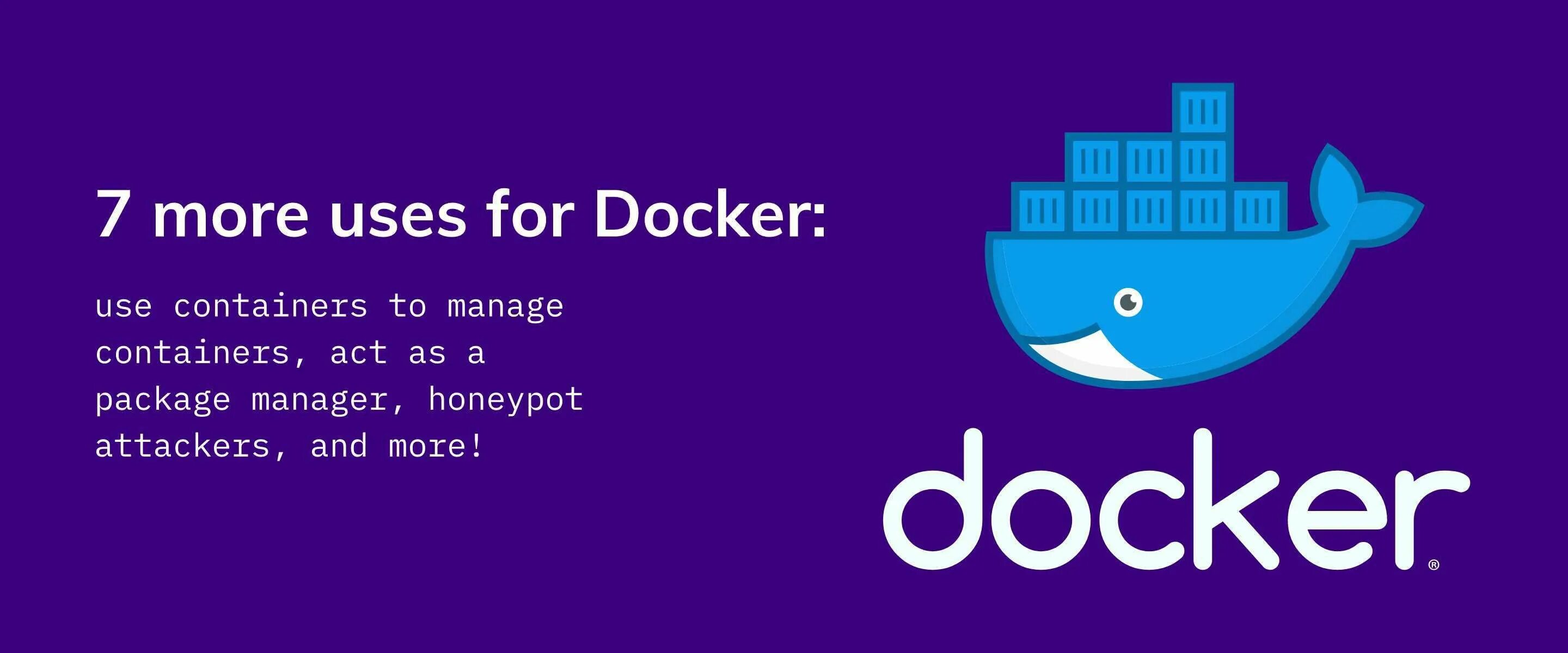 Docker scripts. Синий кит docker. Котики docker.