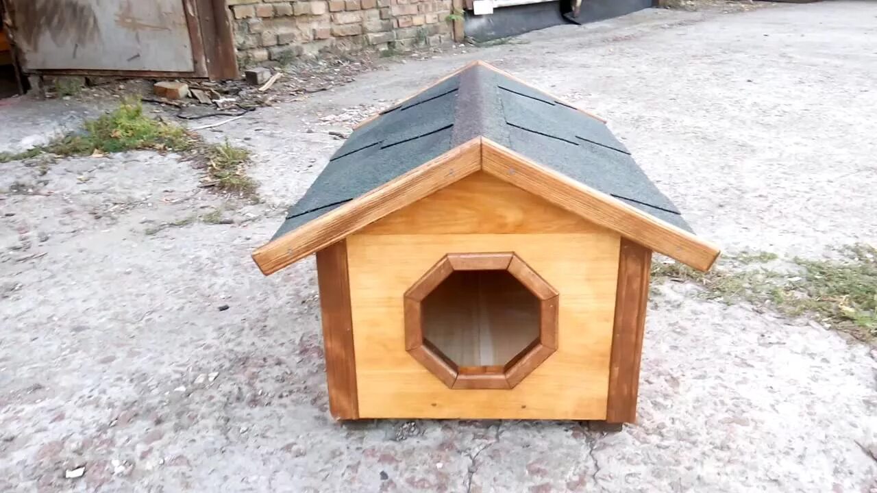 Будка для кошек уличная. Котодом домики для кошек. Ульяновск будки для кошек. Будка уличная. Собака с конурой.