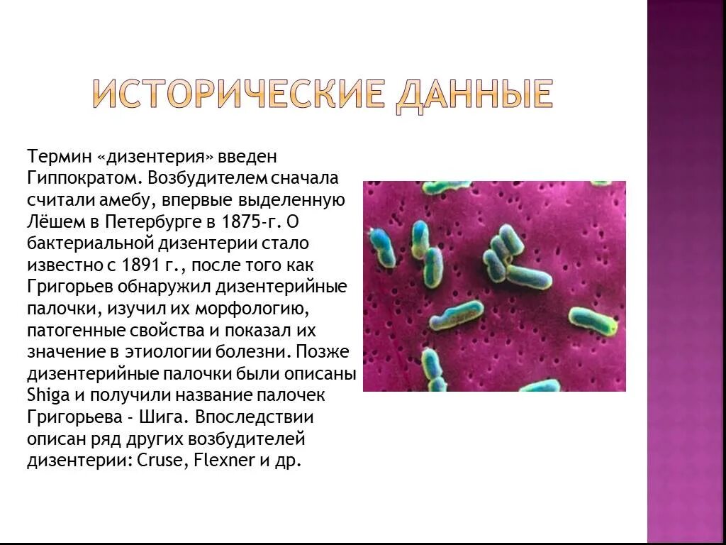 Шигелла дизентерия характеристика. Шигеллез Григорьева-Шига. Шигеллы возбудители дизентерии. Дизентерия возбудитель симптомы. Дизентерия вирусное заболевание