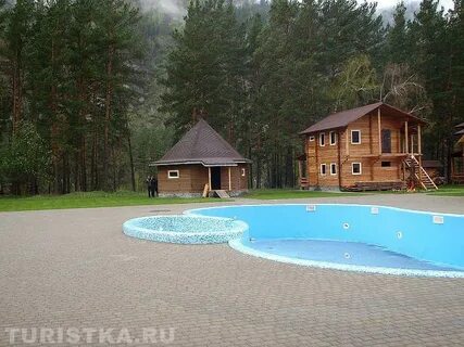 Корогон горный алтай