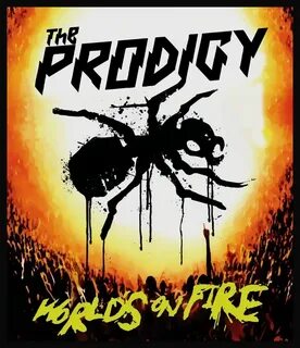 Prodigy fire