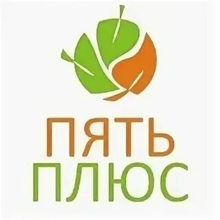 Система 5 плюс