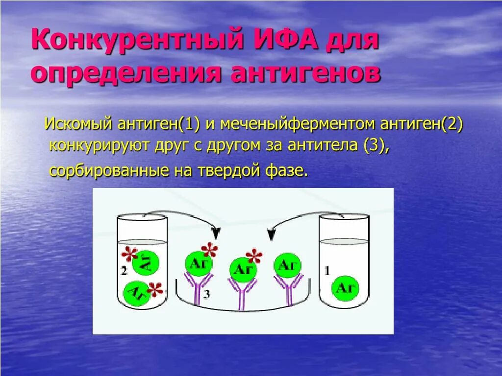 Антиген методом ифа. Ифа определение антигена. конкурентный ифа. конкурентный твердофазный ифа. компоненты ифа и=твердая фаза.