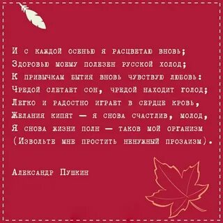И с каждой осенью расцветаю вновь