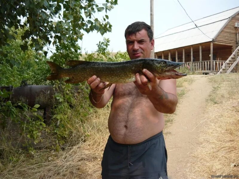 База у романыча астрахань. У романыча рыболовная база в харабали. World fish рыболовная база астрахань. У романыча рыболовная база в харабали. Харабали у романыча рыболовная.