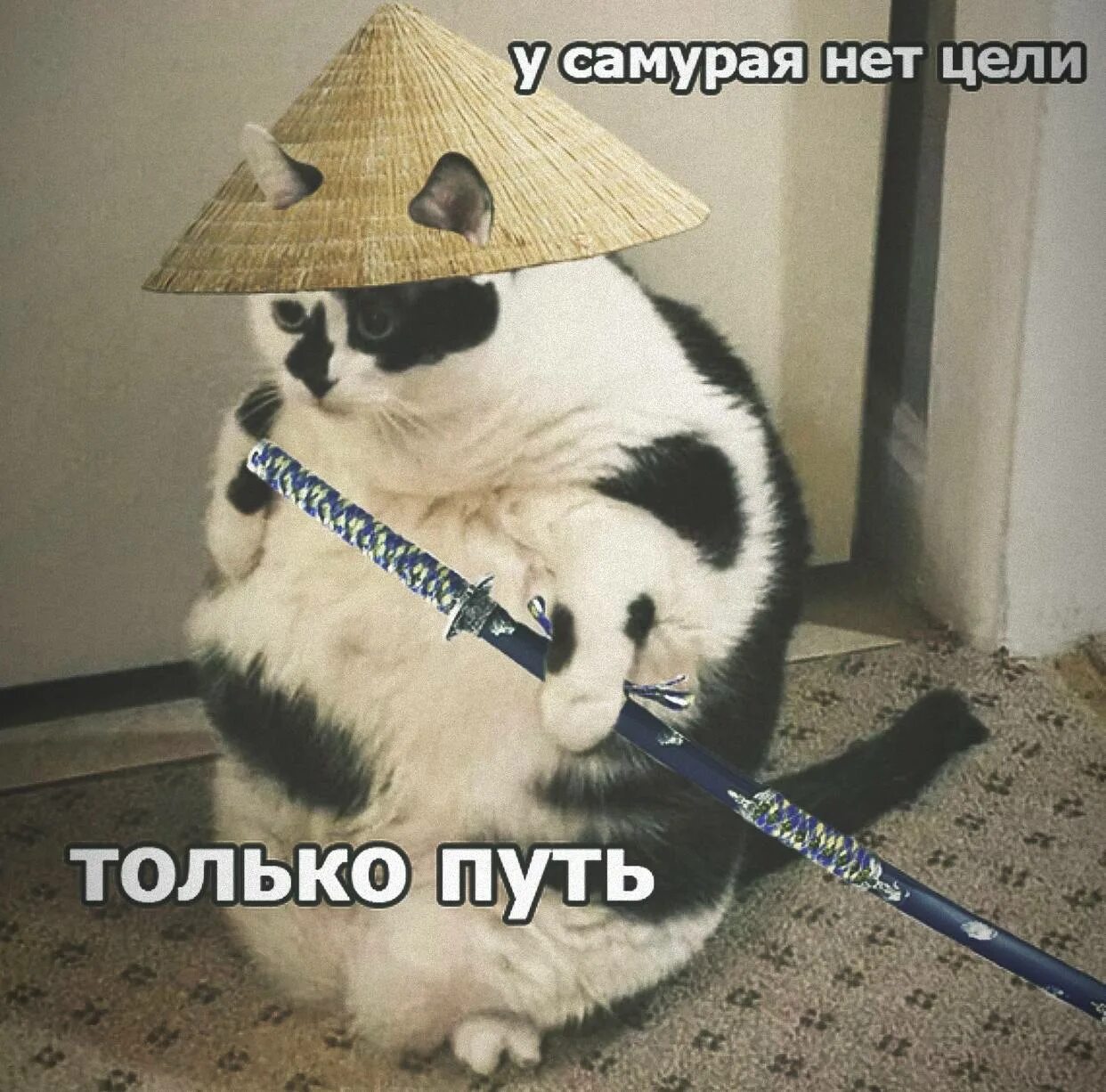 Цитата у самурая нет цели. У самурая нет цели только. у самурая нет цели только путь мем. у самурая нет цели только путь кот. кот самурай мем.