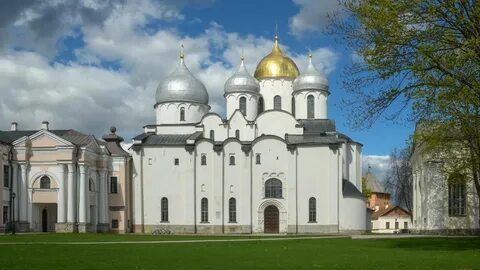 Год рождения новгород