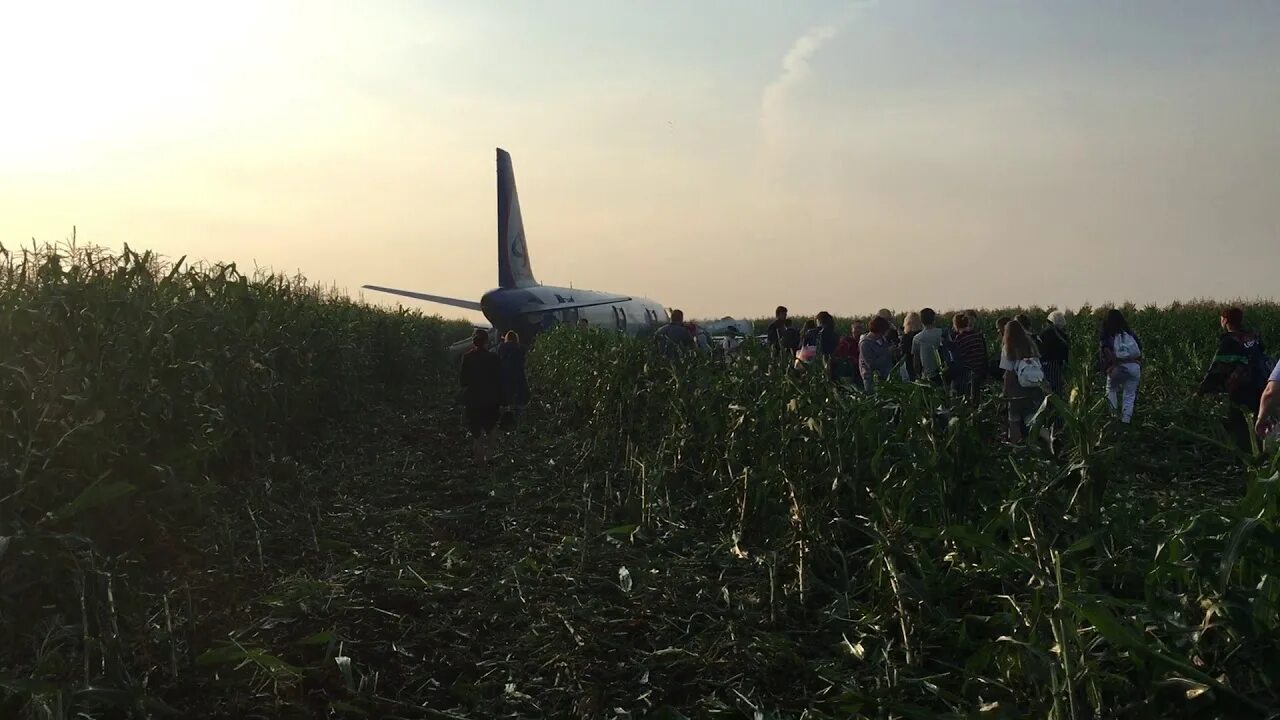 Юсупов самолет кукурузное поле. Посадка самолета Юсупов а321. Дети сажают самолет