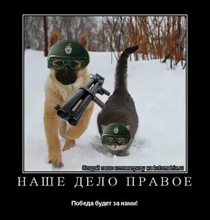 Победит будь что будет