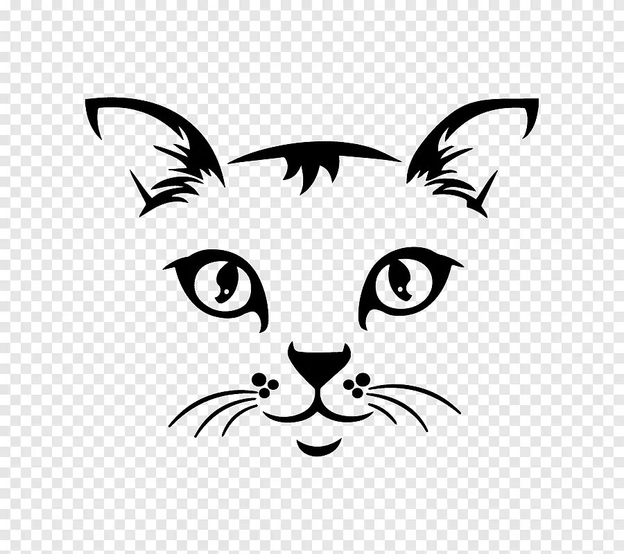 Emil the cat by *hoschie on deviantART Filhotes de gatos, Gatos domésticos, Gato