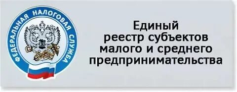 Малый средний бизнес реестр налоговая