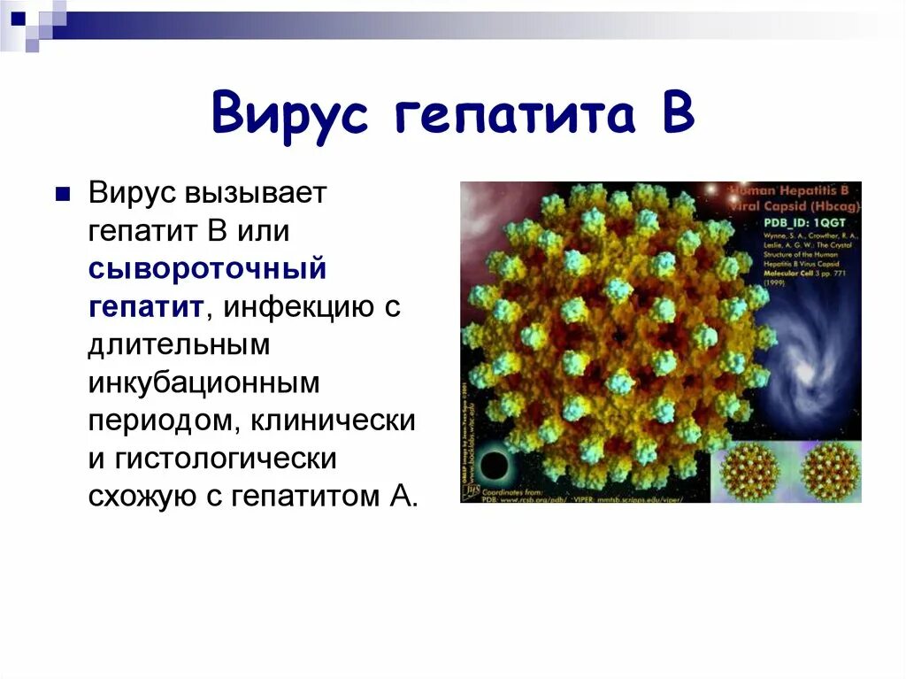 Вирусные гепатиты. Гепатит f таксономия. Строение вируса гепатита дельта. Вирусы гепатита классификация. Новые вирусные гепатиты.