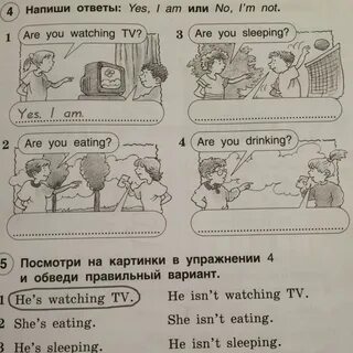 Составь и запиши ответ на вопрос
