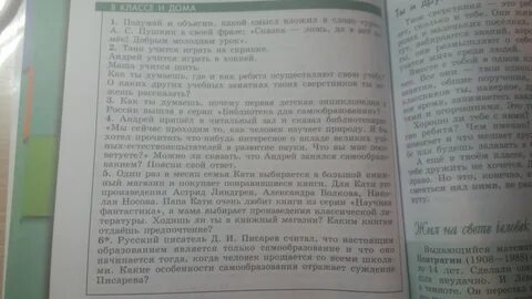 Какой смысл вложил пушкин в слово урок