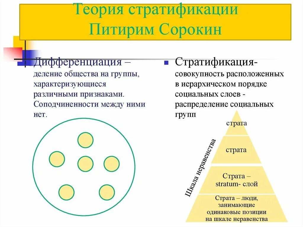 Что такое страты в обществе