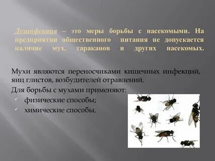 Какие способы борьбы с насекомыми