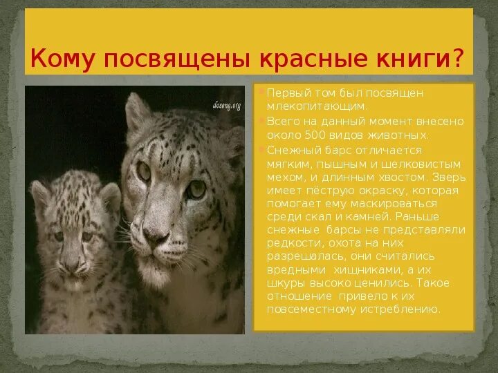 Проект про международную красную книгу Красная книга России