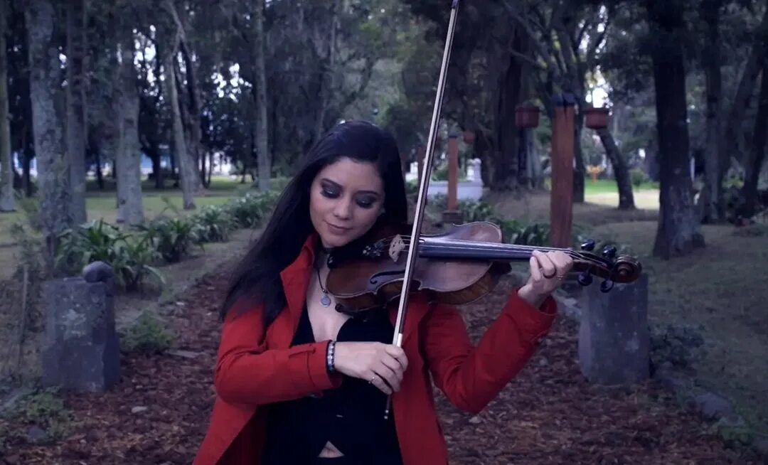 Picadura dela araña violinista