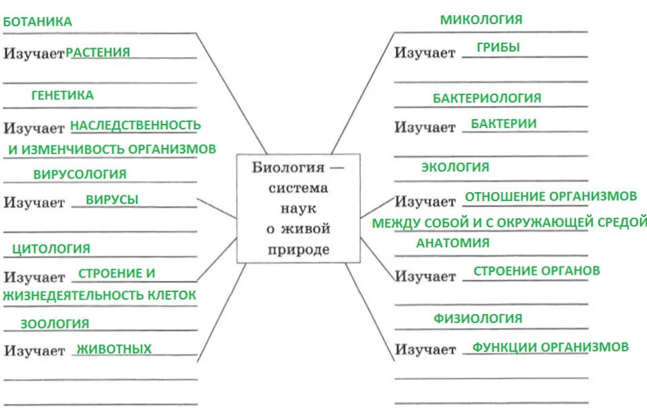Ботаника изучает животных. Ботаника изучает животных