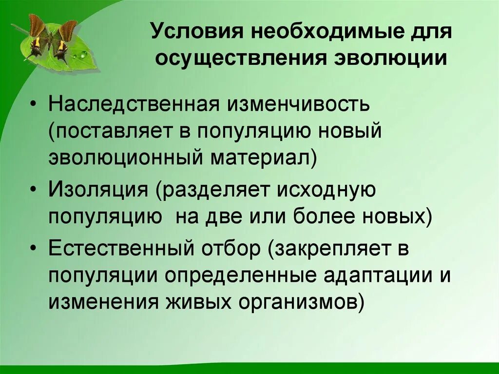 Какую роль играют популяции в эволюционных преобразованиях. Условия необходимые для осуществления эволюции. условия необходимые для осуществления эволюции популяции. условия необходимые для осуществления эволюции примеры. факторы необходимые для осуществления эволюции.