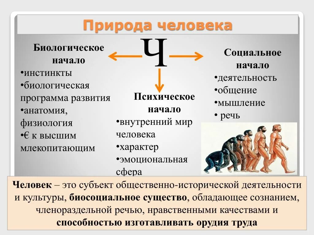 Общественный инстинкт. Социальная природа человека. Биологическая природа человека. Биосоциальная природа человека. Небиологическая природа человека.