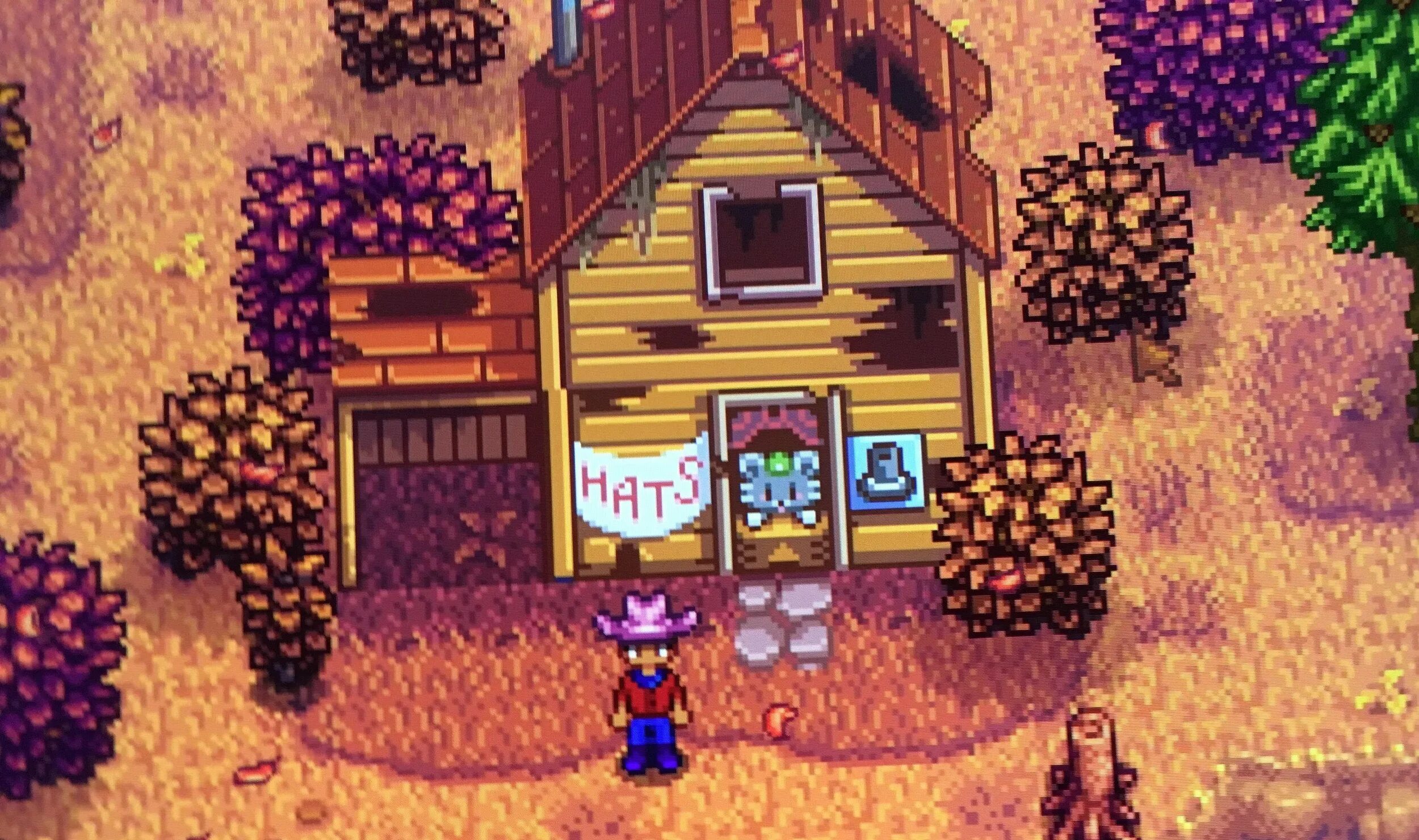 Игры похожие на старди валли. Старди Валли. Дом Хейли Stardew Valley. Шляпный мышь Stardew Valley. Stardew Valley черви в земле.