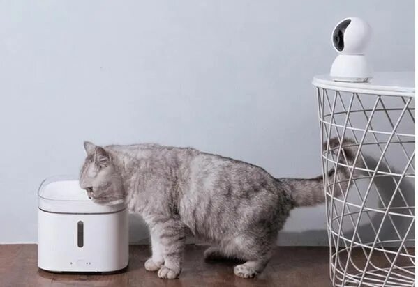 Xiaomi Mijia Smart Pet Water Dispenser xwwf01mg. Умная автопоилка для животных Xiaomi Mijia Smart Pet Water Dispenser (xwwf01mg). Xiaomi Smart Pet Fountain. Поилка умная Xiaomi Smart Pet Fountain. Xiaomi pet fountain