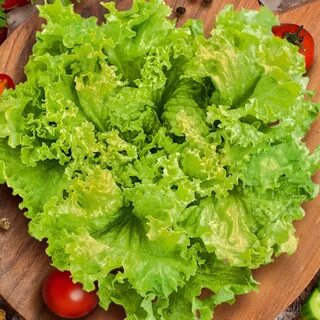 Листовой салат без горечи