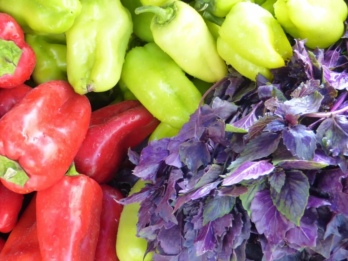 Tasty vegetables. Паприка овощ фото. Синий овощ. Перец пищевой. Овощи и фрукты фото высокого разрешения.