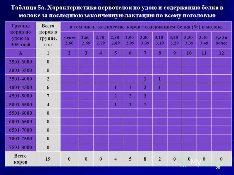 Сколько молока дает первотелка. Рацион коровы после отела. Сколько корова дает молока в год. Сколько литров молока дает корова в сутки. Сколько корова дает молока в день.